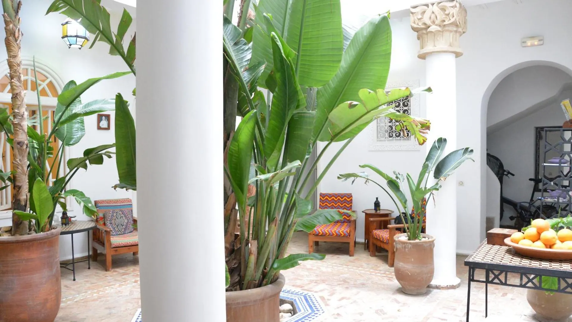 Dar Loulema Hotel Essaouira Riad