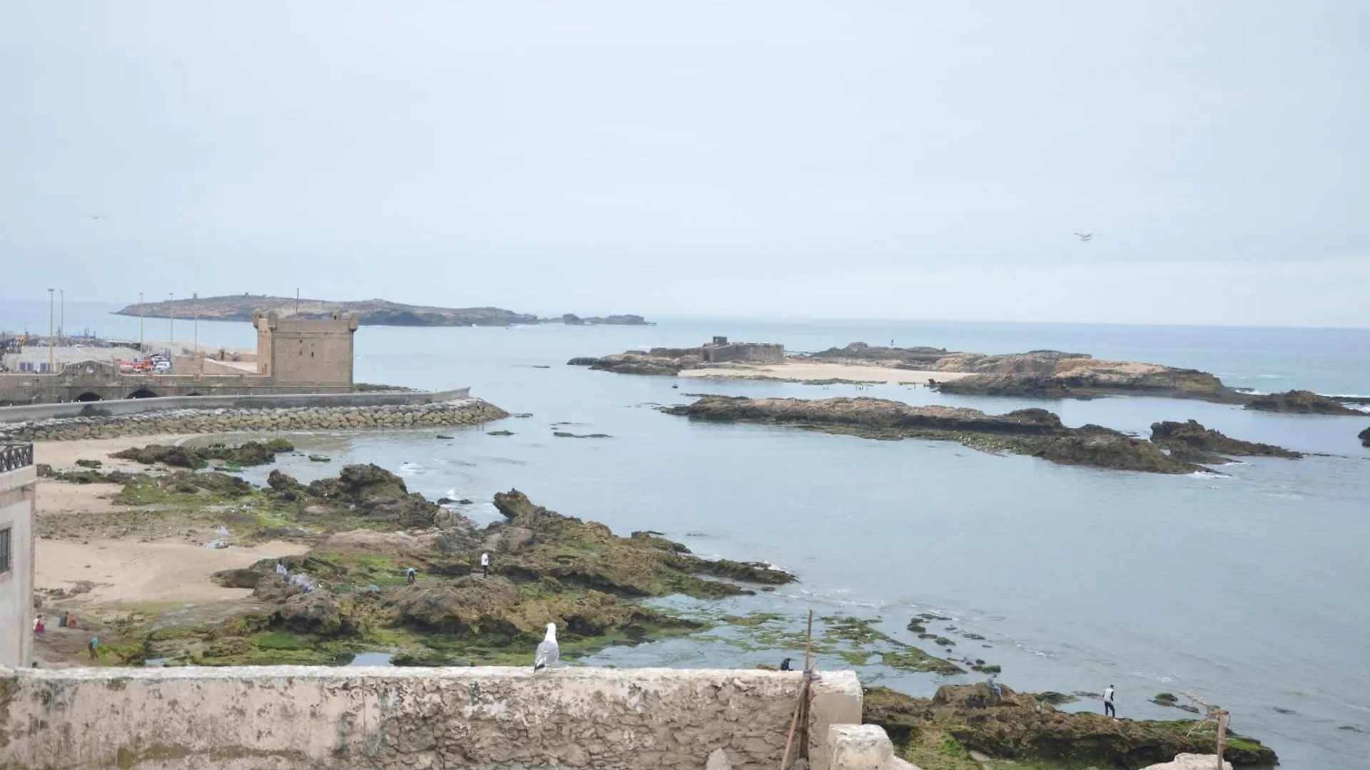 Dar Loulema Hotel Essaouira