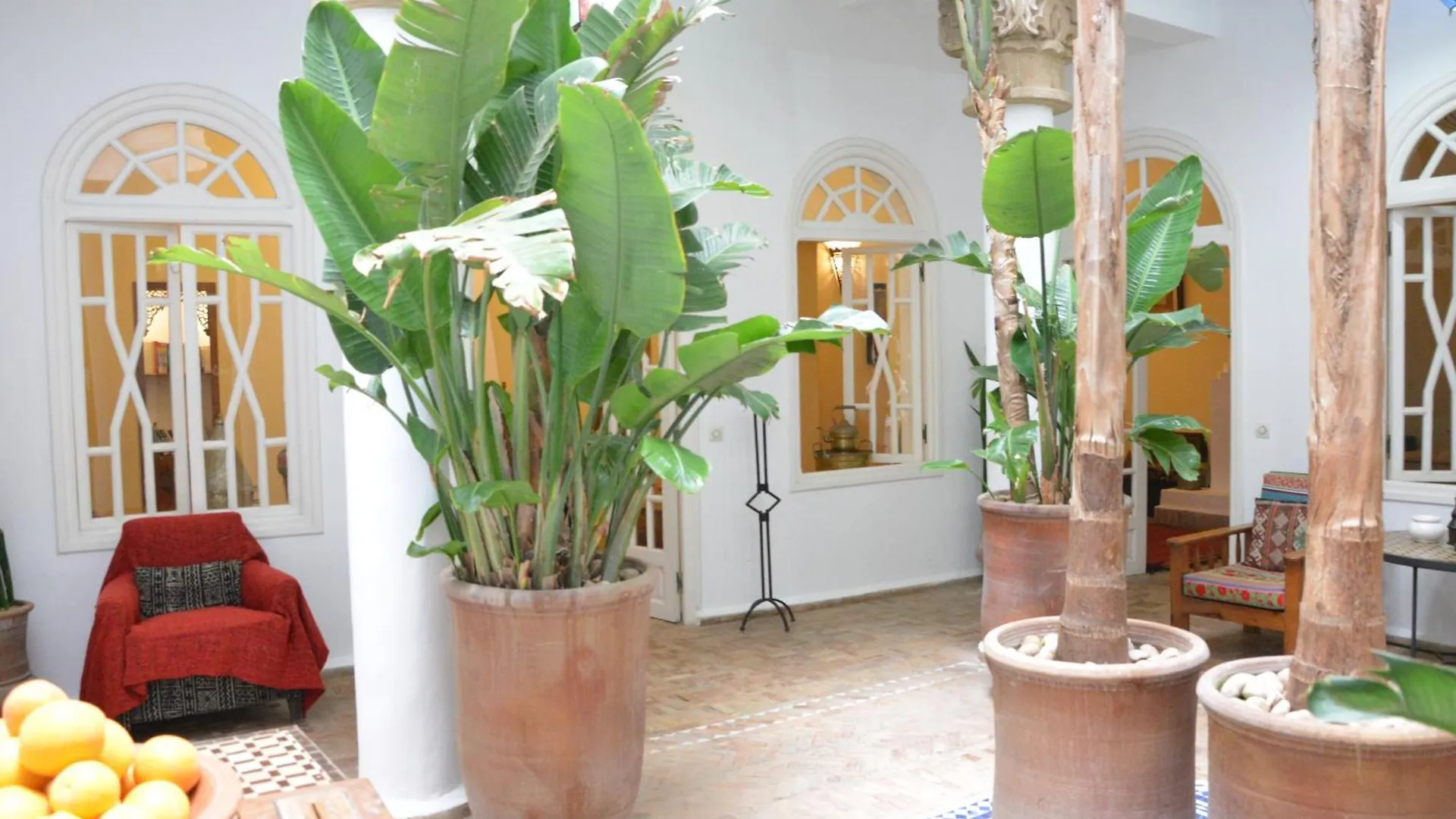 Dar Loulema Hotel Essaouira Riad