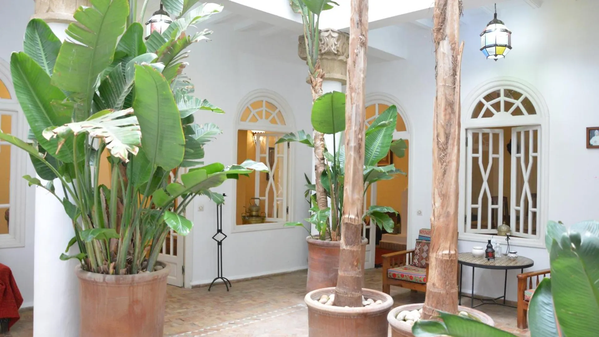 Dar Loulema Hotel Essaouira Riad