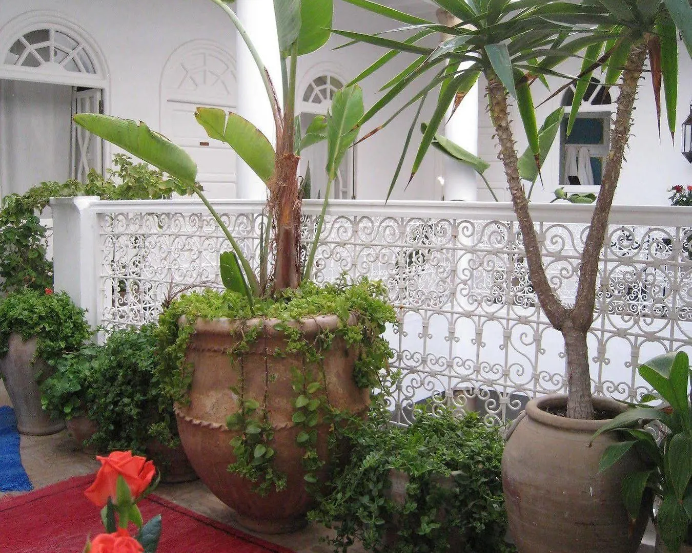 Dar Loulema Hotel Essaouira Morocco